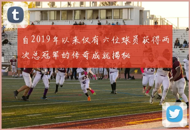 自2019年以来仅有六位球员获得两次总冠军的传奇成就揭秘