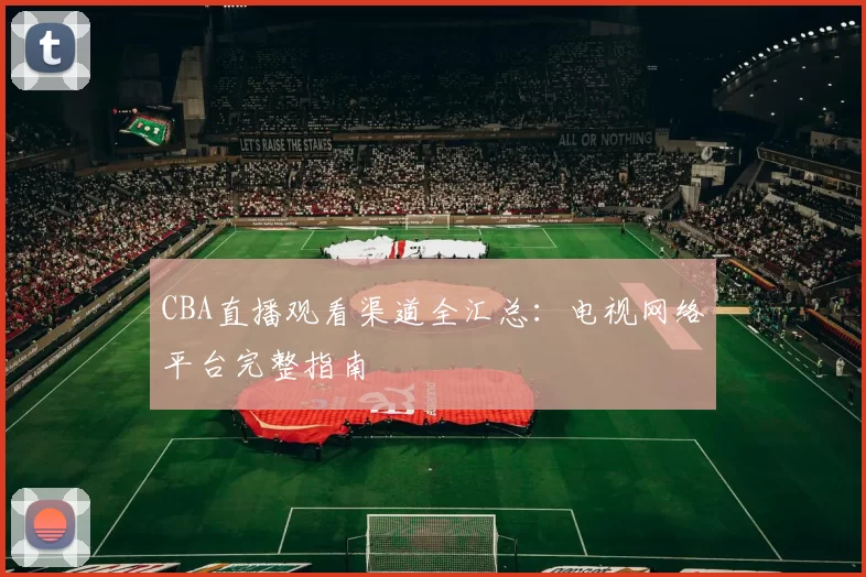 CBA直播观看渠道全汇总:电视网络平台完整指南
