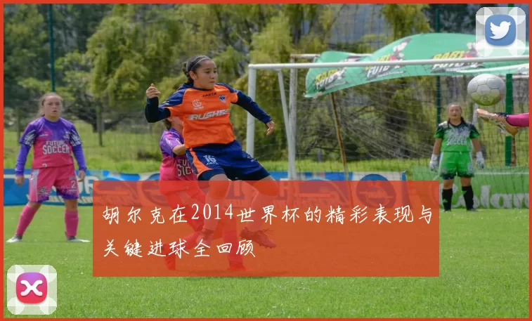 胡尔克在2014世界杯的精彩表现与关键进球全回顾