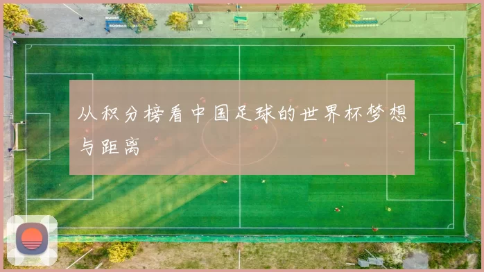 从积分榜看中国足球的世界杯梦想与距离
