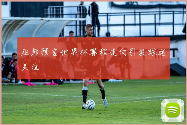 巫师预言世界杯赛程走向引发球迷关注