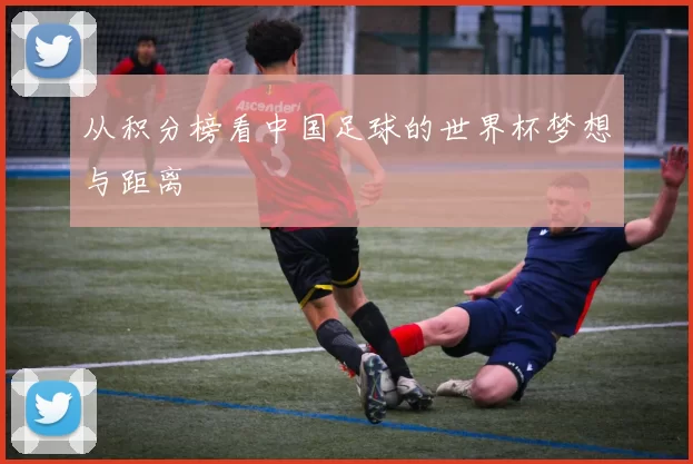 从积分榜看中国足球的世界杯梦想与距离