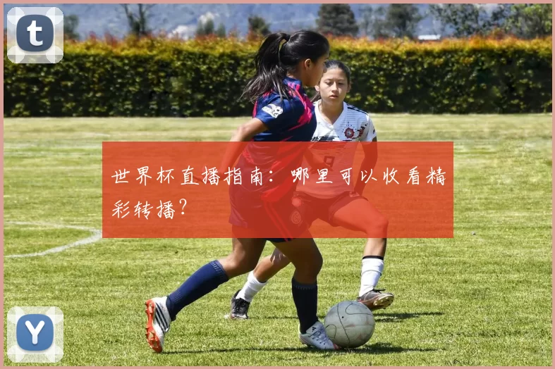 世界杯直播指南:哪里可以收看精彩转播?