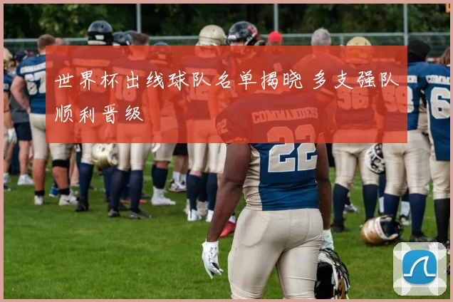 世界杯出线球队名单揭晓 多支强队顺利晋级