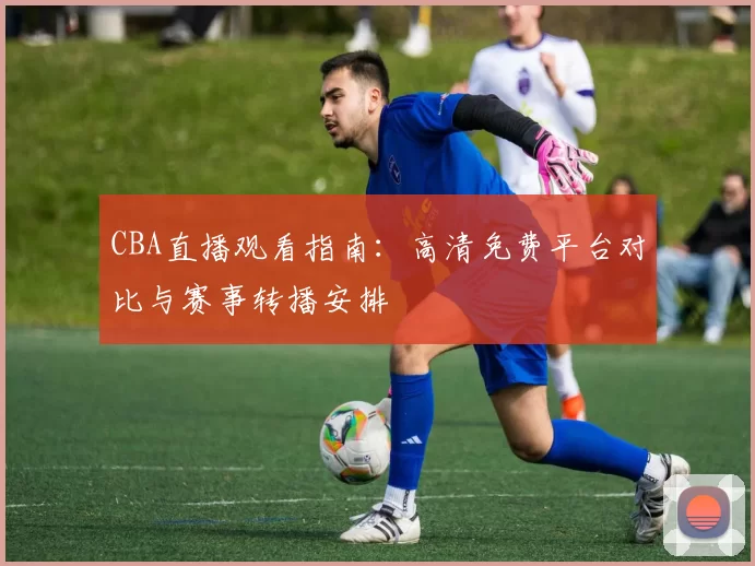 CBA直播观看指南：高清免费平台对比与赛事转播安排