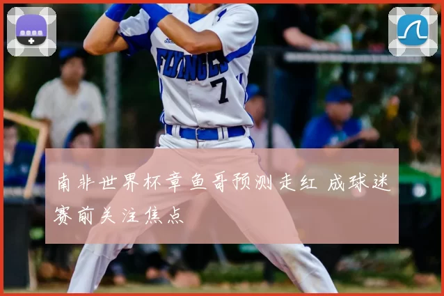 南非世界杯章鱼哥预测走红 成球迷赛前关注焦点