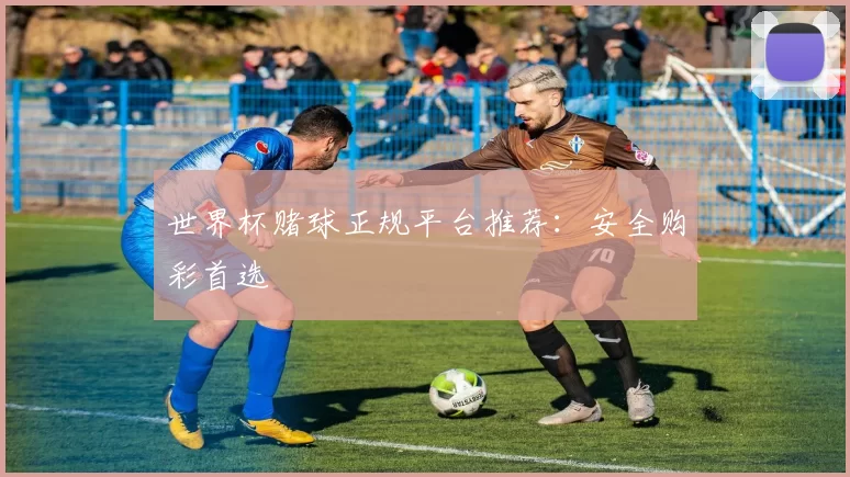 世界杯赌球正规平台推荐：安全购彩首选